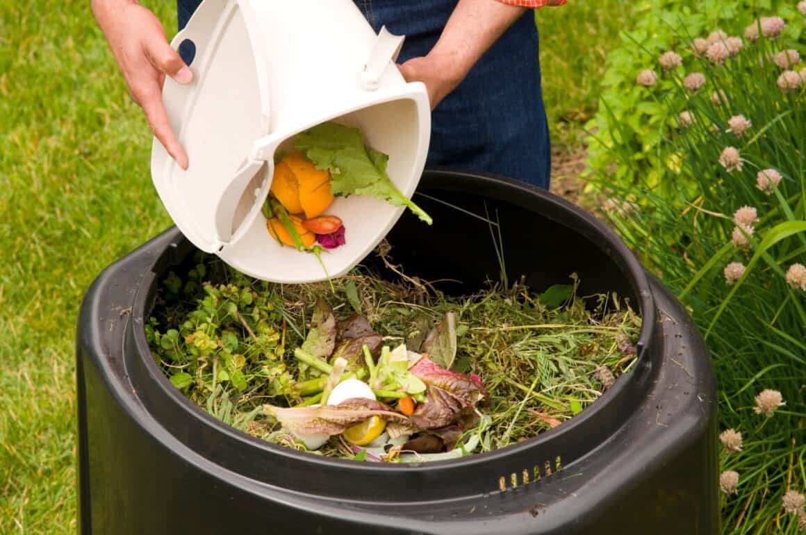 picture of food scraps being put into a bin composter