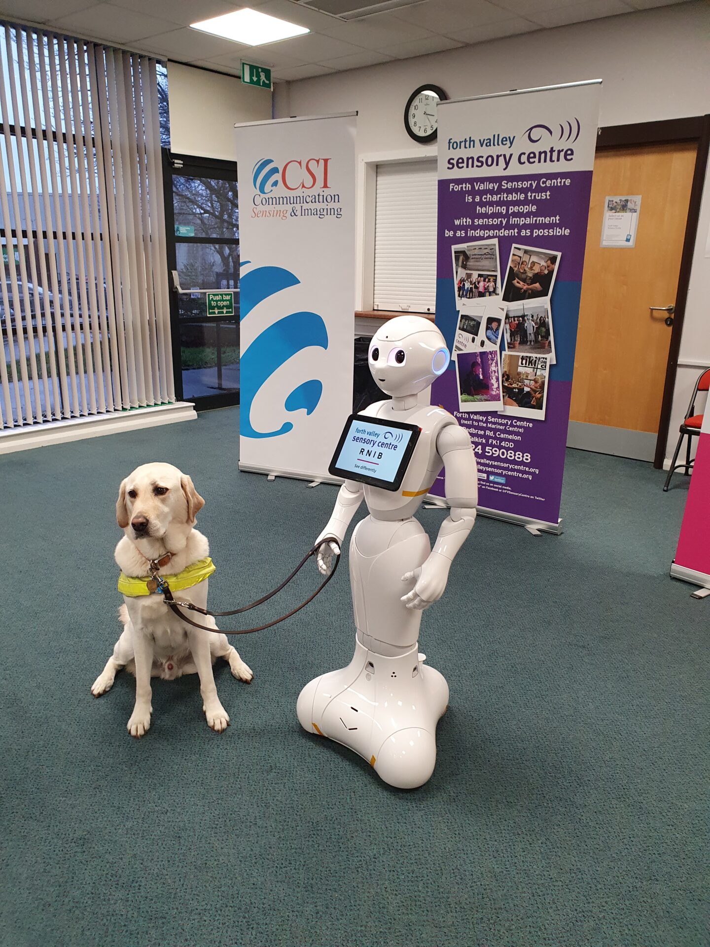 Pepper with a Guide Dog