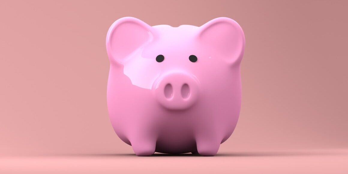 Pink Piggy Bank for Annual Accounts